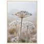 Three dried seedheads in hard frost, print in a natural wood frame