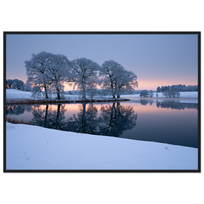 Frosted trees reflected in a frozen lake at first light, print in a black frame