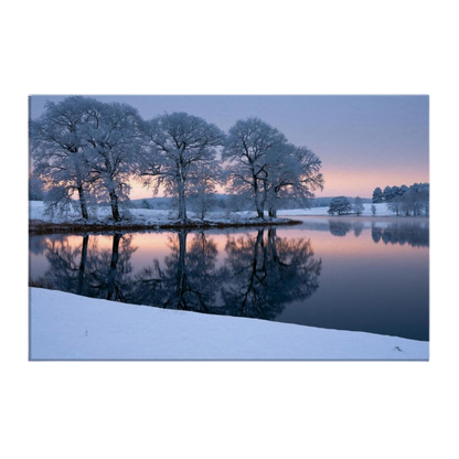 Hoar-frosted oaks on a low promontory mirrored exactly in a still frozen lake at first light, rose and gold along the far shore, printed on stretched canvas