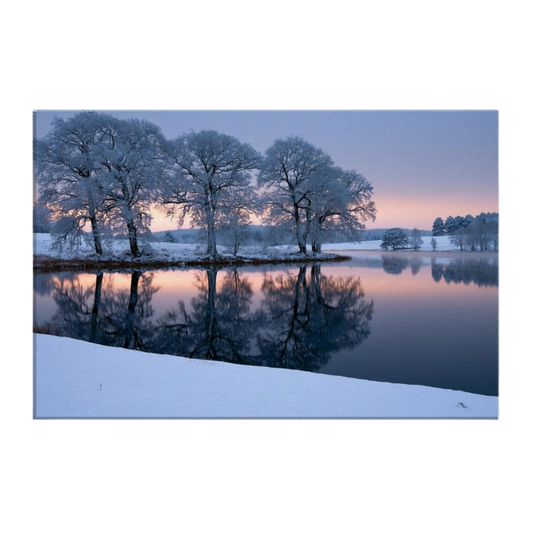 Hoar-frosted oaks on a low promontory mirrored exactly in a still frozen lake at first light, rose and gold along the far shore, printed on stretched canvas