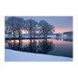 Hoar-frosted oaks on a low promontory mirrored exactly in a still frozen lake at first light, rose and gold along the far shore, printed on stretched canvas