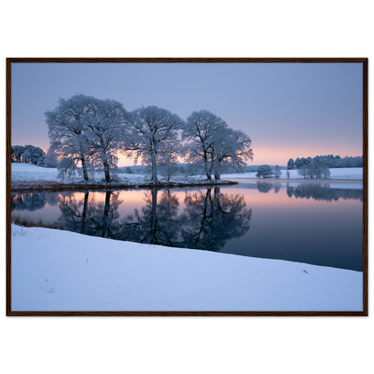 Frosted trees reflected in a frozen lake at first light, print in a dark wood frame