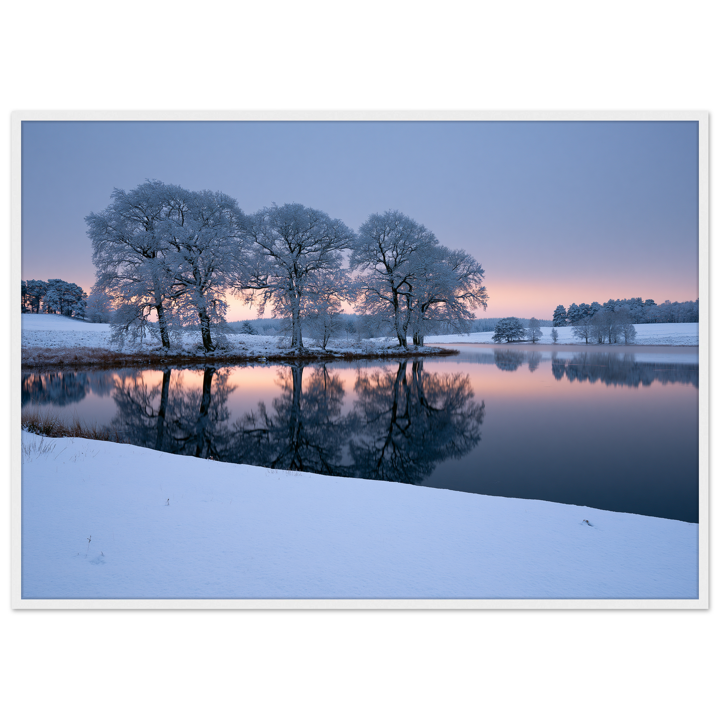 Frosted trees reflected in a frozen lake at first light, print in a white frame