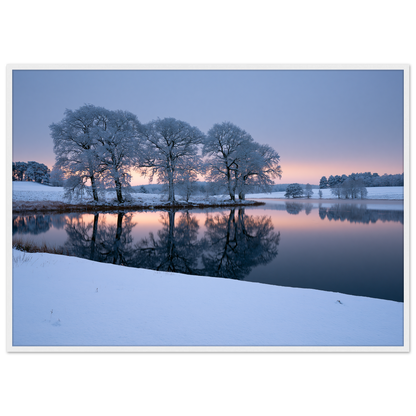 Frosted trees reflected in a frozen lake at first light, print in a white frame