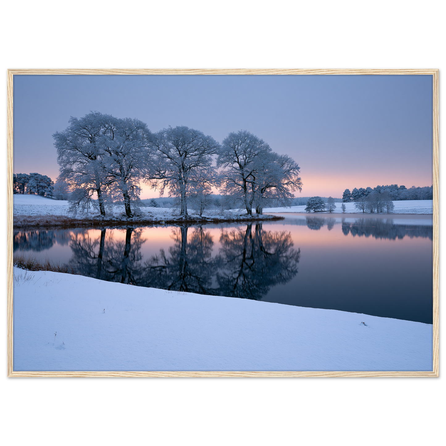 Frosted trees reflected in a frozen lake at first light, print in a natural wood frame