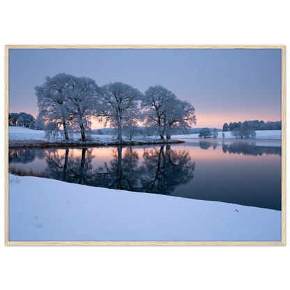 Frosted trees reflected in a frozen lake at first light, print in a natural wood frame
