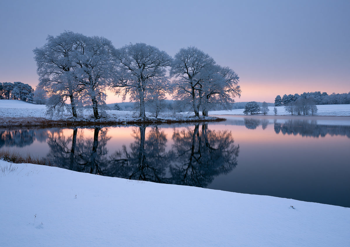 Hoar-frosted trees mirrored in a still frozen lake at first light
