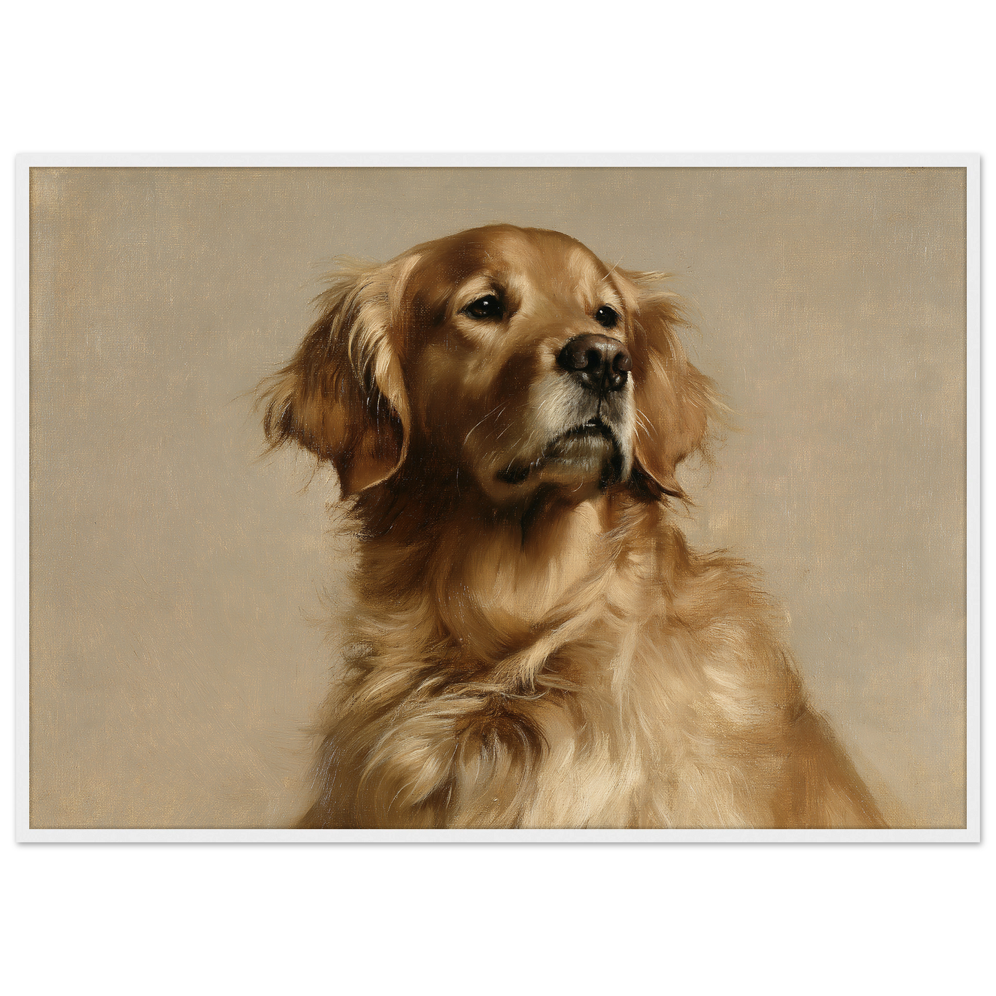 A Golden Retriever oil portrait, print in a white frame