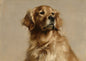A Golden Retriever with a dense wavy coat, painted in oil against a plain putty ground