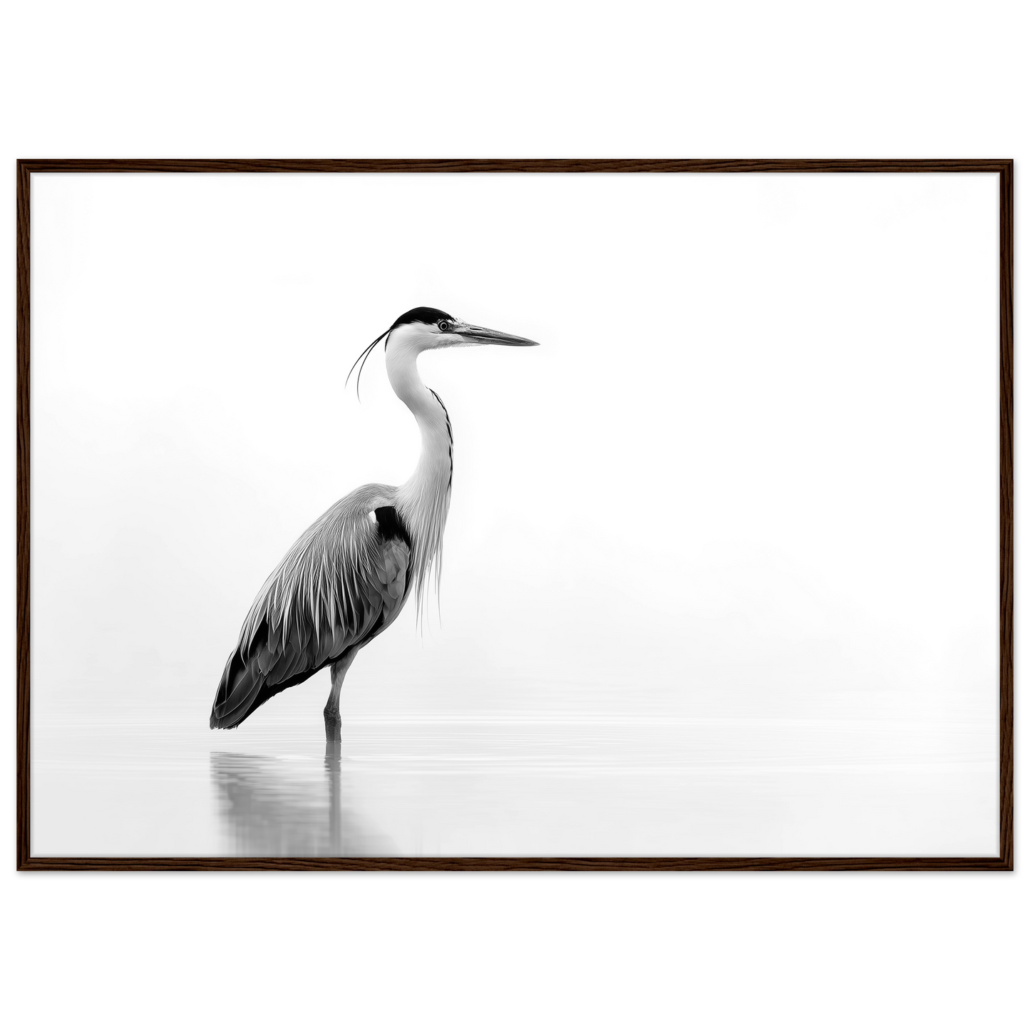 Black and white grey heron in still water, print in a dark brown wood frame