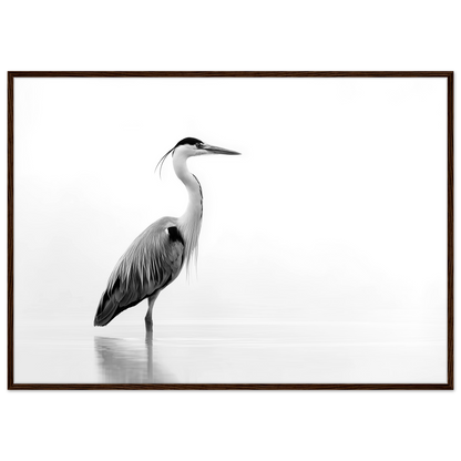 Black and white grey heron in still water, print in a dark brown wood frame