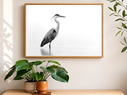 Black and white grey heron in still water, framed in light wood above a console table with houseplants