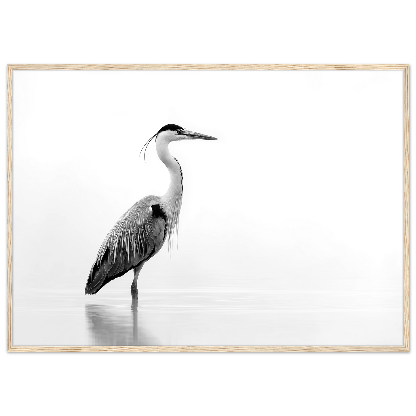 Black and white grey heron in still water, print in a natural light wood frame