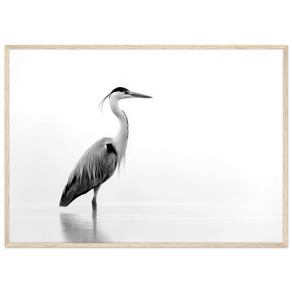 Black and white grey heron in still water, print in a natural light wood frame