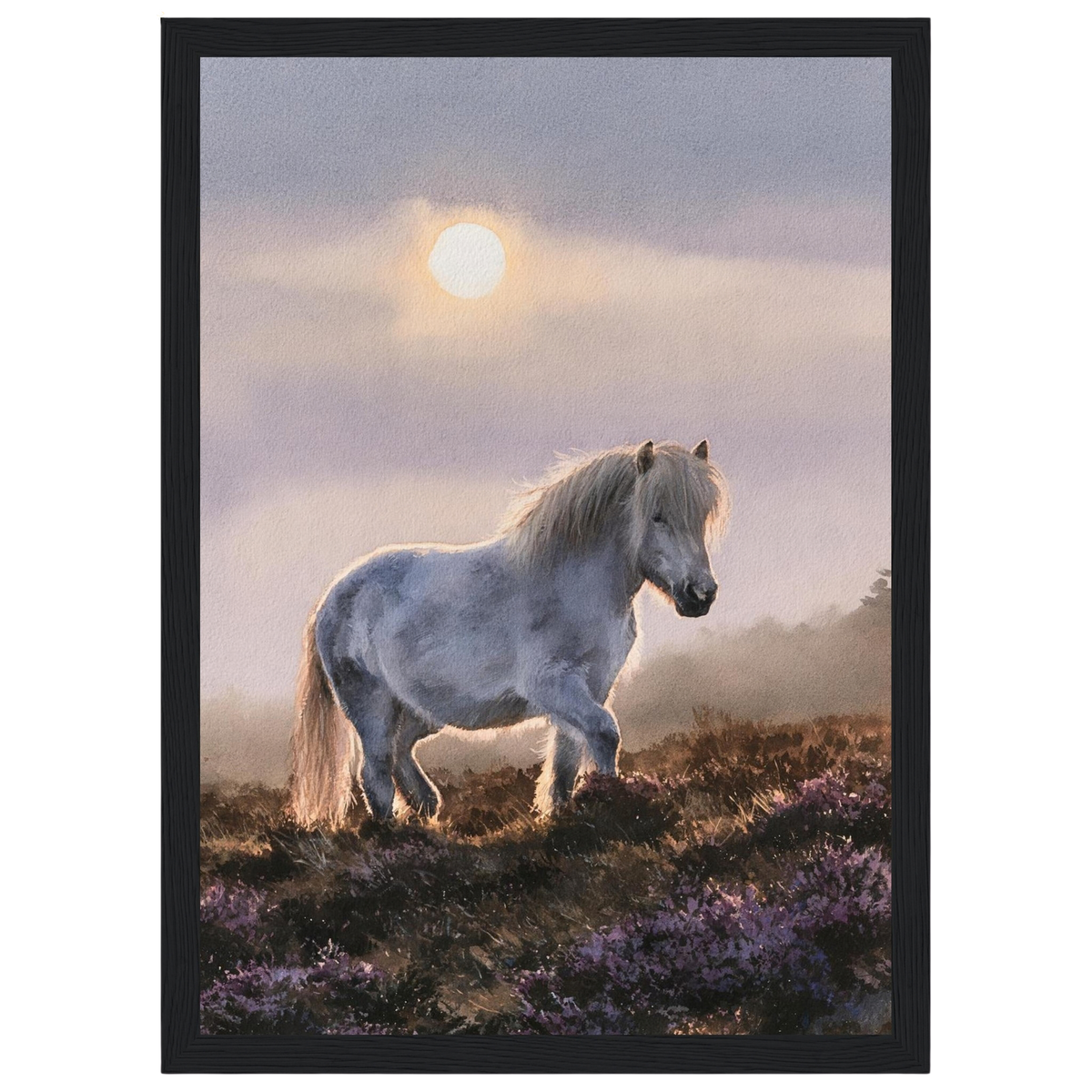 Grey pony on the heather, print in a black frame