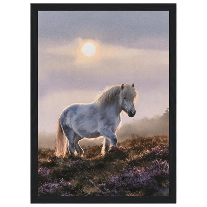 Grey pony on the heather, print in a black frame