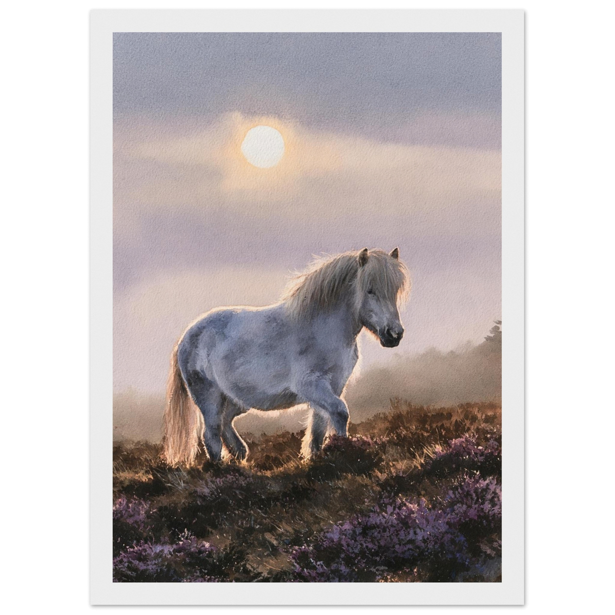 Grey pony on the heather, print in a white frame