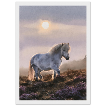 Grey pony on the heather, print in a white frame