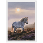 Grey pony on the heather, print in a white frame