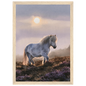 Grey pony on the heather, print in a natural wood frame