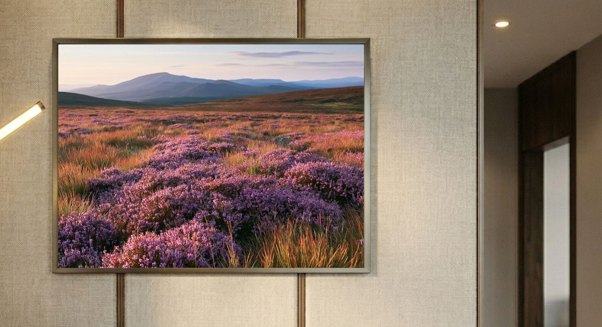 A framed print of a purple heather moor at low sun, hanging on a linen panelled wall