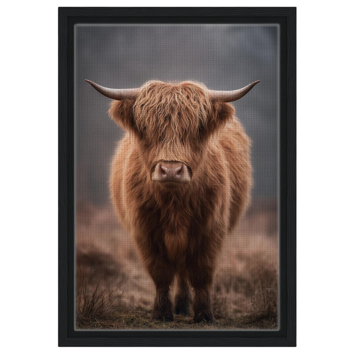 Highland cow in winter mist, canvas in a black frame