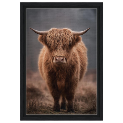 Highland cow in winter mist, canvas in a black frame