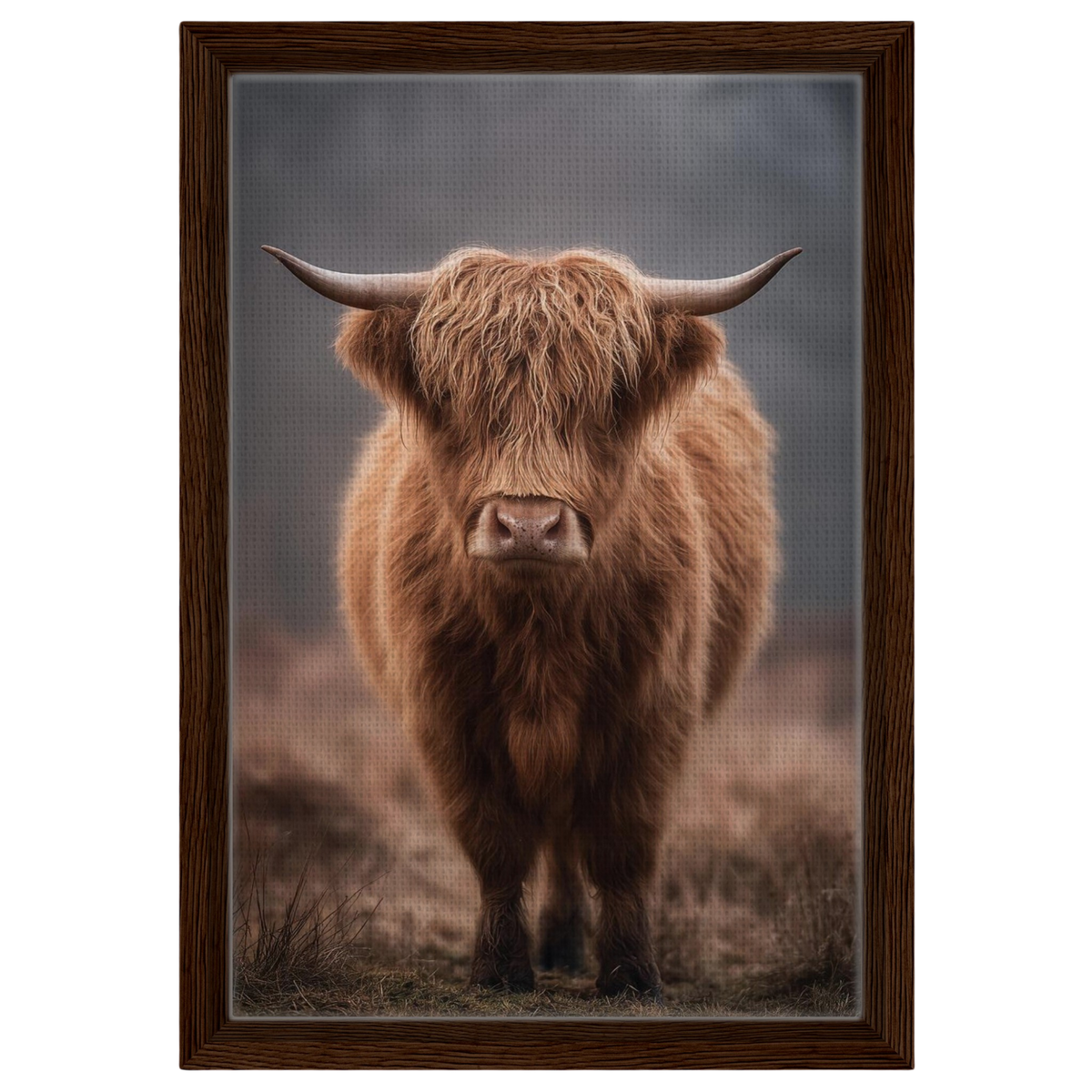 Highland cow in winter mist, canvas in a dark wood frame