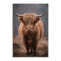 A Highland cow standing square in cold winter mist, its long fringe hanging over both eyes, printed on stretched canvas