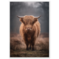 Highland cow in winter mist, print in a white frame