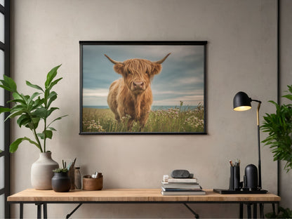 Highland cow on flowering machair, in a black frame above a wooden desk in a modern home office