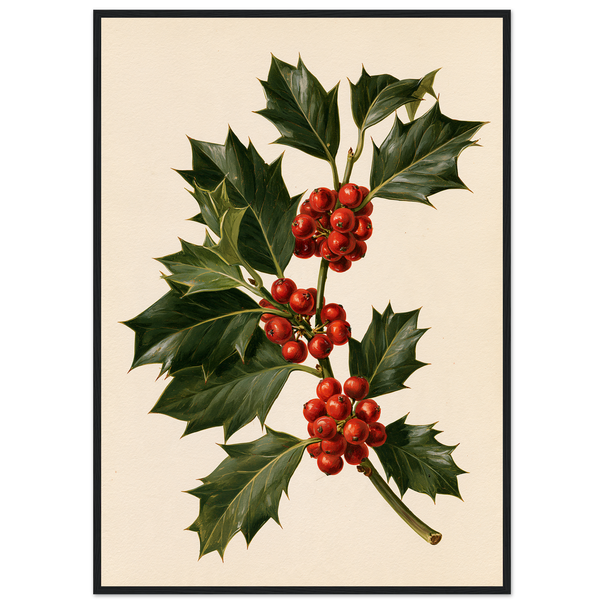 Holly sprig with red berries on a bone ground, print in a black frame