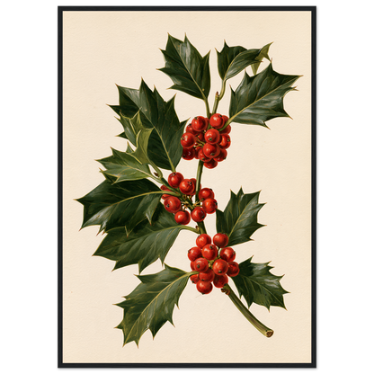 Holly sprig with red berries on a bone ground, print in a black frame