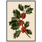 Holly sprig with red berries on a bone ground, print in a black frame