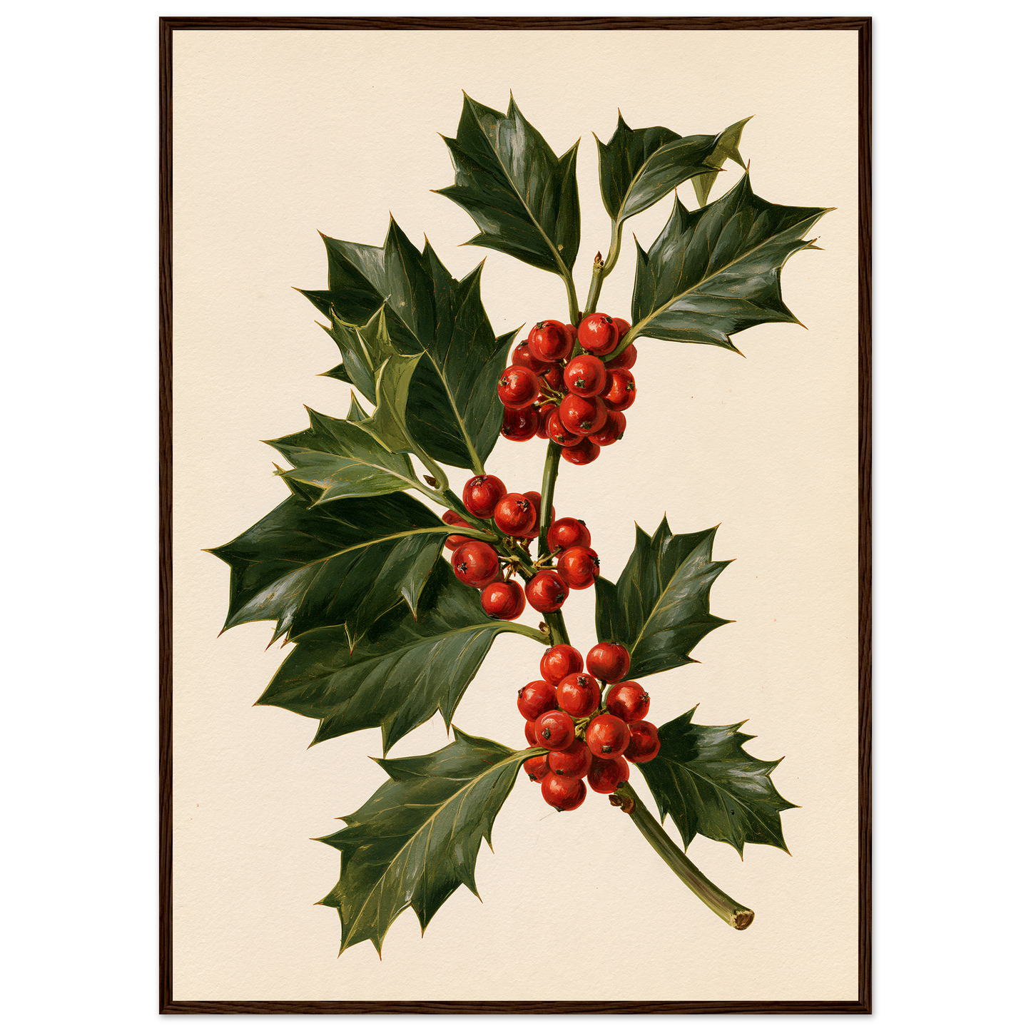 Holly sprig with red berries on a bone ground, print in a dark wood frame