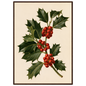 Holly sprig with red berries on a bone ground, print in a dark wood frame