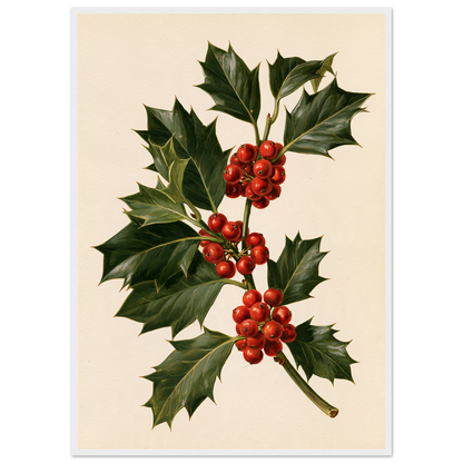 Holly sprig with red berries on a bone ground, print in a white frame