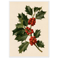 Holly sprig with red berries on a bone ground, print in a white frame