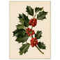 Holly sprig with red berries on a bone ground, print in a natural wood frame