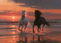 A white horse and a black horse galloping side by side through the surf at sunset, the sun low on the horizon under a coral and crimson sky