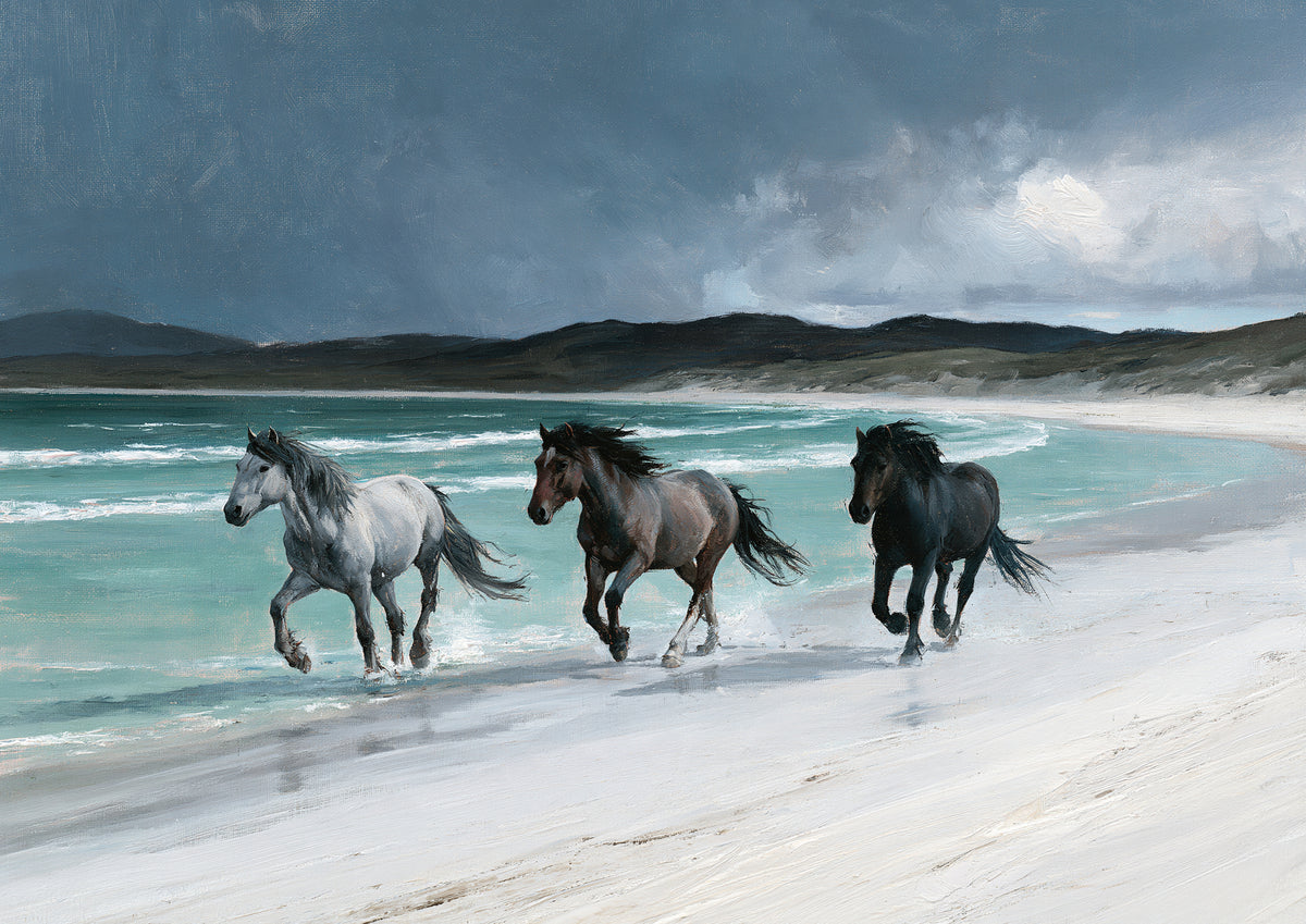 Three horses, grey, bay and black, running through the turquoise shallows of a white Hebridean beach beneath a dark slate storm sky