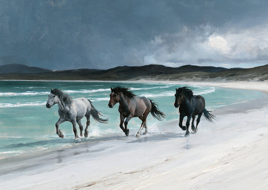 Three horses, grey, bay and black, running through the turquoise shallows of a white Hebridean beach beneath a dark slate storm sky