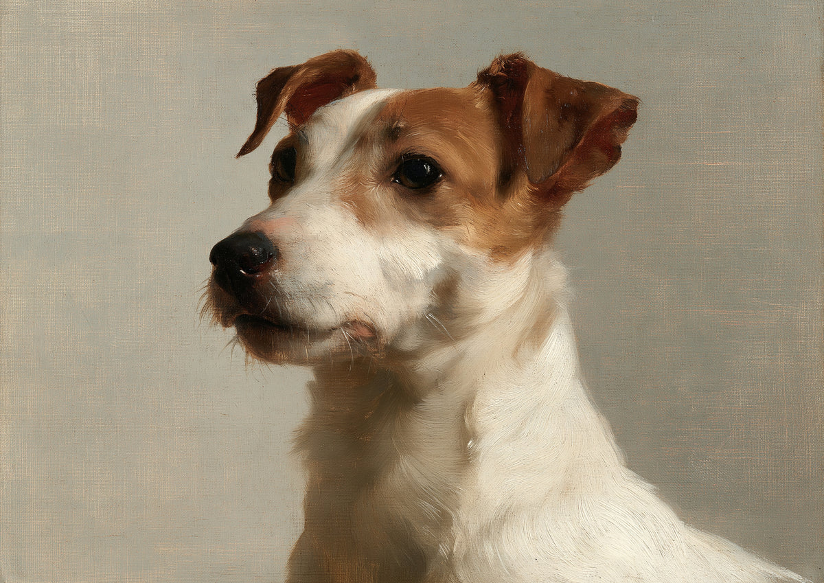 A smooth-coated Jack Russell terrier, white with tan markings, painted in oil against a plain putty ground