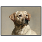 A yellow Labrador Retriever oil portrait, print in a black frame