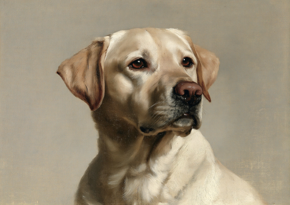 A yellow Labrador Retriever painted in oil against a plain putty ground