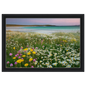 Machair in flower, canvas in a black frame