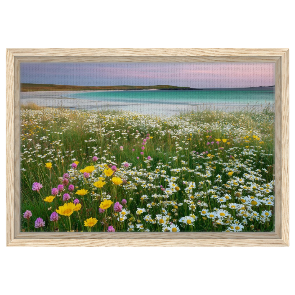Machair in flower, canvas in a natural wood frame