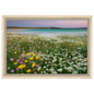Machair in flower, canvas in a natural wood frame