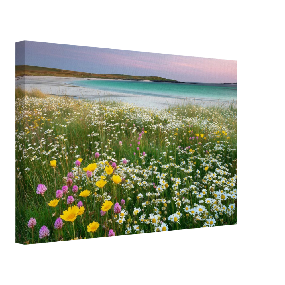 Machair in flower, canvas seen from an angle with the image continuing around the wrapped edge