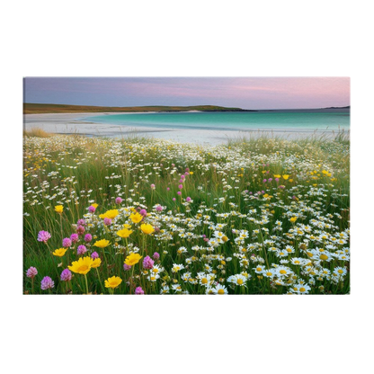 A Hebridean machair in full flower, white daisies, yellow marigolds and pink clover above white shell sand and turquoise water, printed on stretched canvas